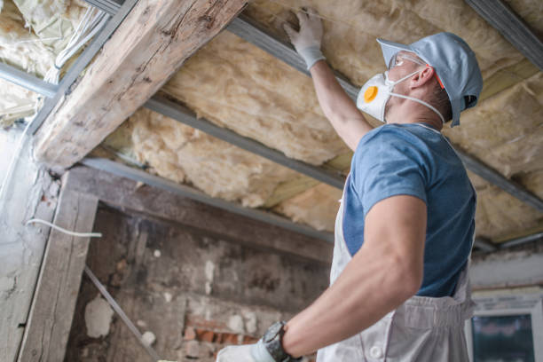 Best Insulation Materials and Products in Lake Kiowa, TX
