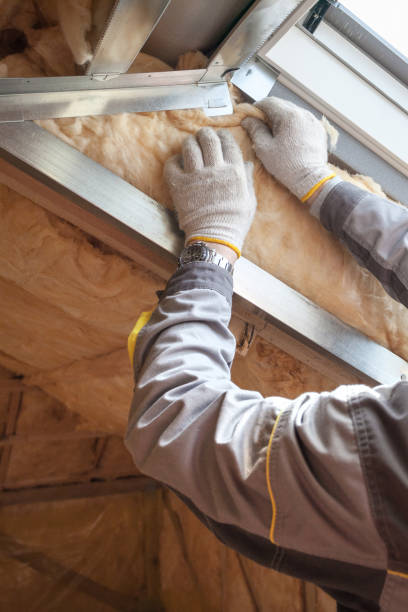 Best Commercial Insulation in Lake Kiowa, TX